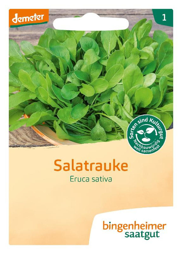 Produktfoto zu Saatgut Salatrauke "Eruca sativa"