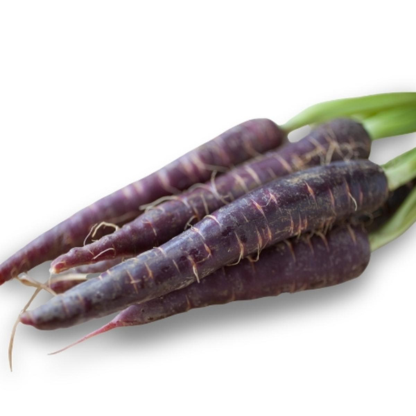 Produktfoto zu Möhren Purpurne Paula