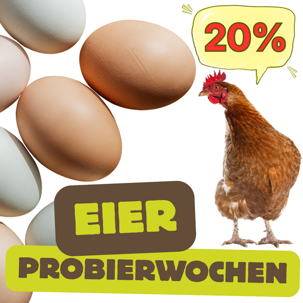 KI generiert: Eier und Huhn mit Text: "EIER PROBIERWOCHEN" und "20%" Rabatt.
