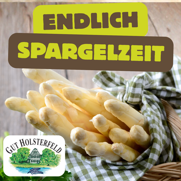 KI generiert: Weißer Spargel in einem Korb. Text: "ENDLICH SPARGELZEIT", Logo "GUT HOLSTERFELD".