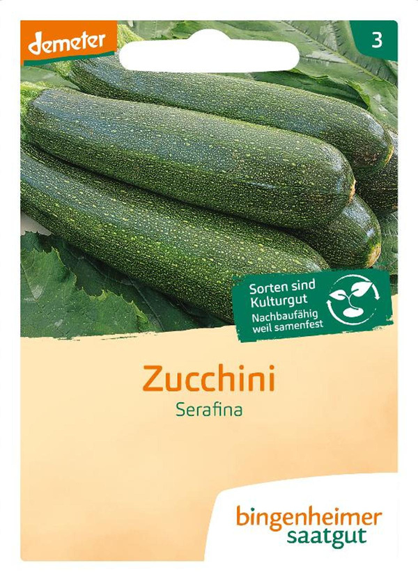 Produktfoto zu Saatgut Zucchini "Serafina"