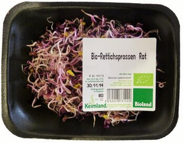 Produktfoto zu Rettichsprossen rot samenfest 80g