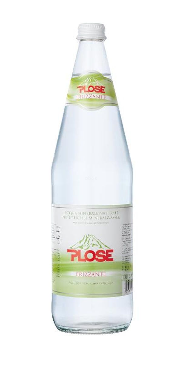Produktfoto zu Wasser Plose frizzant 1L