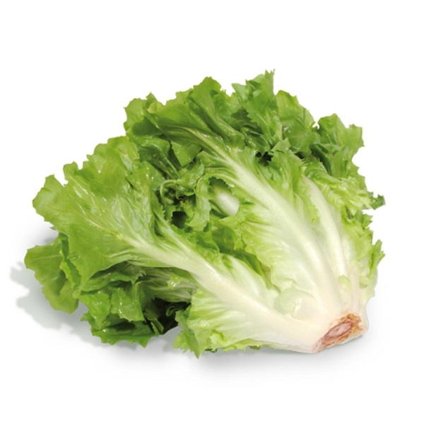 Produktfoto zu Endiviensalat