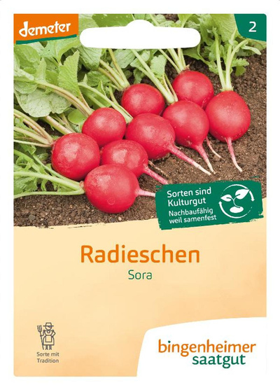 Produktfoto zu Saatgut Radies "Sora"