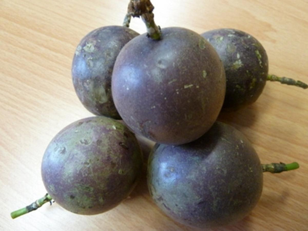 Produktfoto zu Passionsfrüchte violett