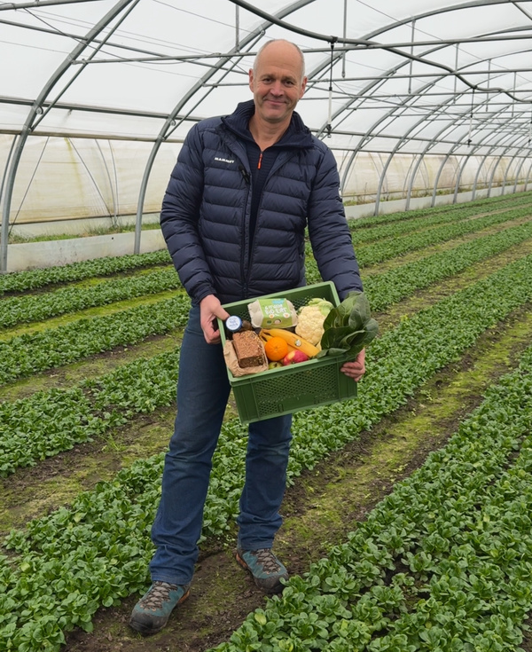 KI generiert: Ein Mann in einem Gewächshaus hält eine Kiste mit verschiedenem Obst und Gemüse.