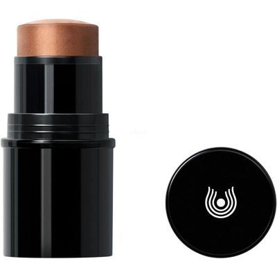 Produktfoto zu Dr. Hauschka Blush Stick "Lip to Cheek" gold