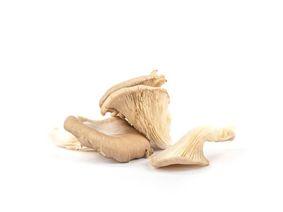 Produktfoto zu Austernpilze