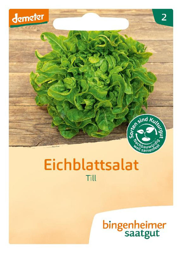 Produktfoto zu Saatgut Eichblattsalat "Till"