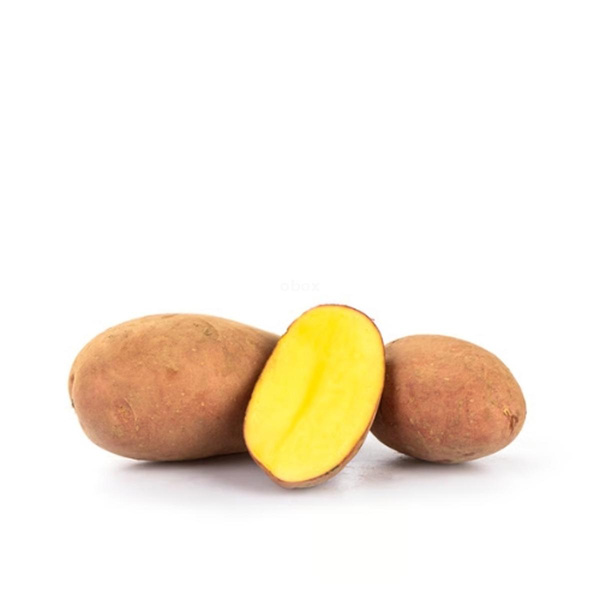 Produktfoto zu Kartoffel Laura rotschalig vfk