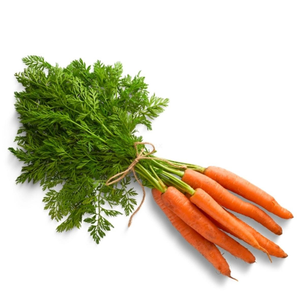 Produktfoto zu Bund Möhren