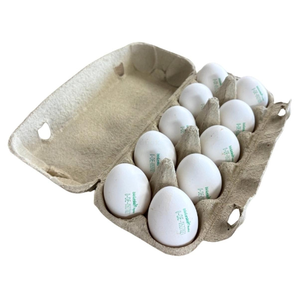 Produktfoto zu WeideEier 10 Stück