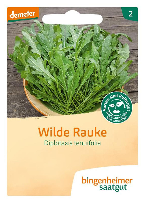 Produktfoto zu Saatgut Rucola Wilde Rauke