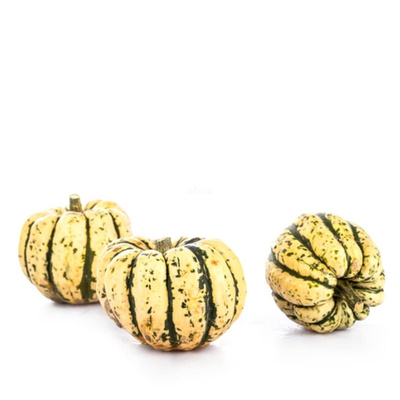 Produktfoto zu Kürbis Sweet Dumpling