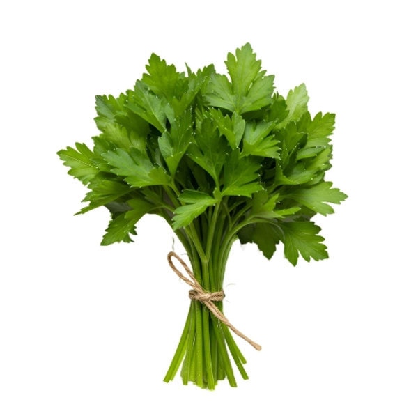 Produktfoto zu Petersilie glatt, im Bund