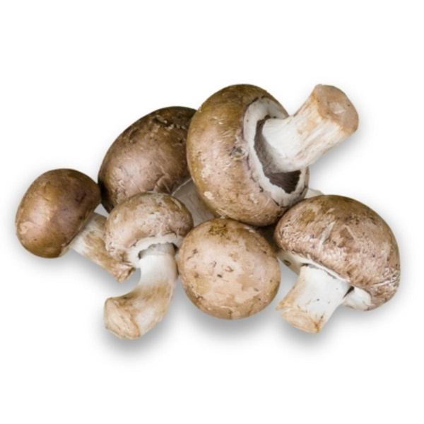 Produktfoto zu Champignons braun