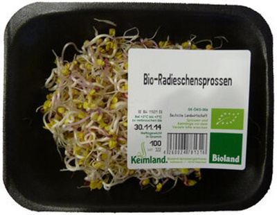 Produktfoto zu Radieschensprossen samenfest 100g