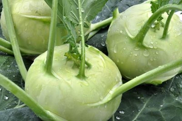 Produktfoto zu Kohlrabi