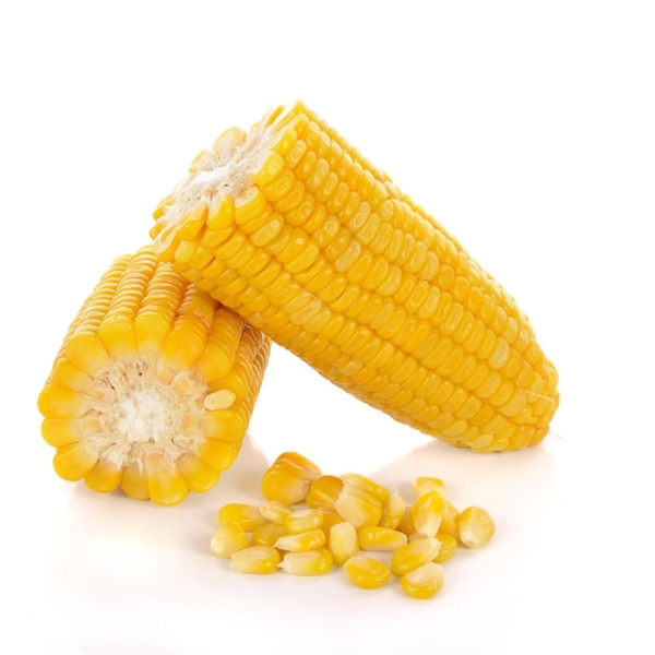 Produktfoto zu Zuckermais vakuumiert 2 Stück