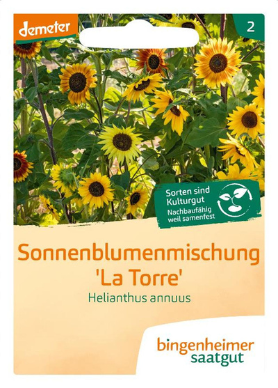 Produktfoto zu Saatgut Sonnenblume "La Torre"