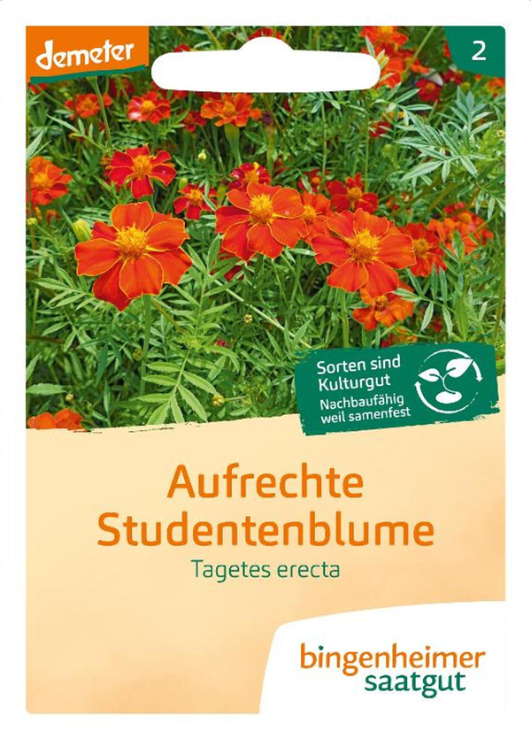 Produktfoto zu Saatgut Studentenblume