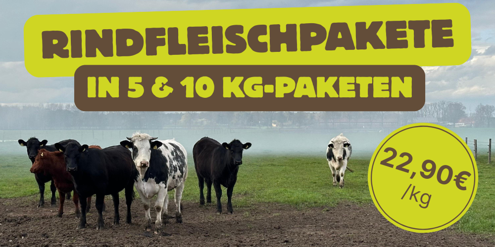 KI generiert: Kühe auf einer Wiese, Text: "Rindfleischpakete in 5 & 10 kg-Paketen, 22,90€/kg".