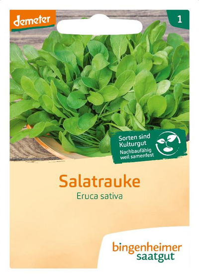 Produktfoto zu Saatgut Salatrauke "Eruca sativa"
