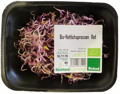 Produktfoto zu Rettichsprossen rot samenfest 80g