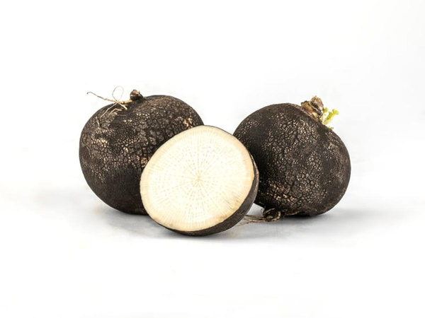 Produktfoto zu Rettich schwarz
