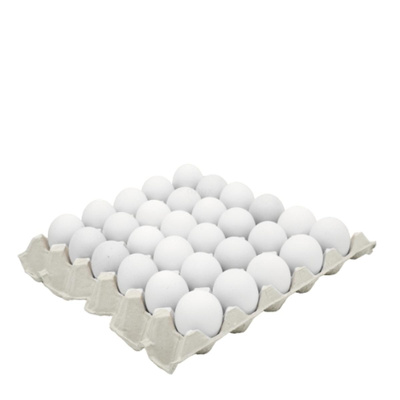 Produktfoto zu bioLesker WeideEier Lage 30 Stück