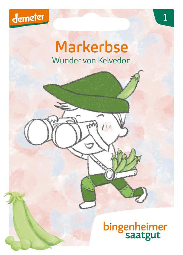 Produktfoto zu Saatgut Markerbse "Wunder von Kelvedon"