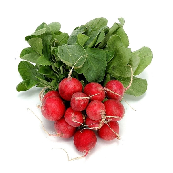Produktfoto zu Radieschen