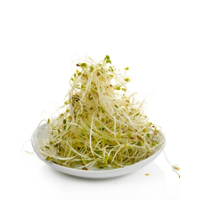 Produktfoto zu Alfalfa-Sprossen 100g
