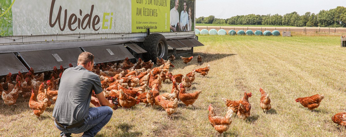 KI generiert: Ein Mann hockt neben Hühnern auf einer Wiese vor einem WeideEi-Anhänger.