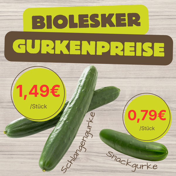 KI generiert: Angebot für Gurken: Schlangengurke 1,49€/Stück, Snackgurke 0,79€/Stück. Text: "BIOLESKER GURKENPREISE".