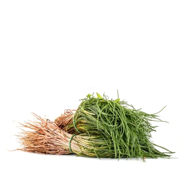 Produktfoto zu Mönchsbart - Roscano Agretto ' im Bund 100g