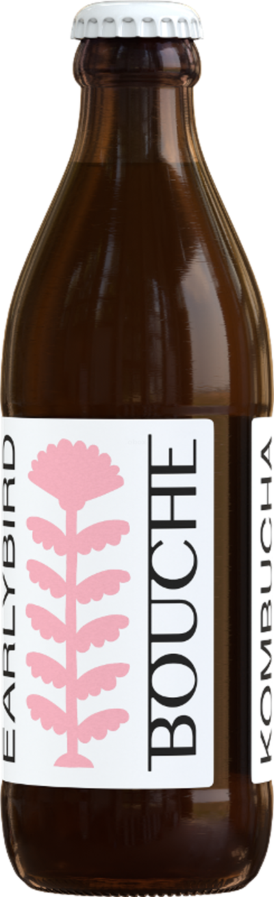 Produktfoto zu Kombucha Earlybird Kiste 24*0,33l