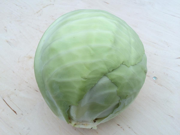 Produktfoto zu Weißkohl