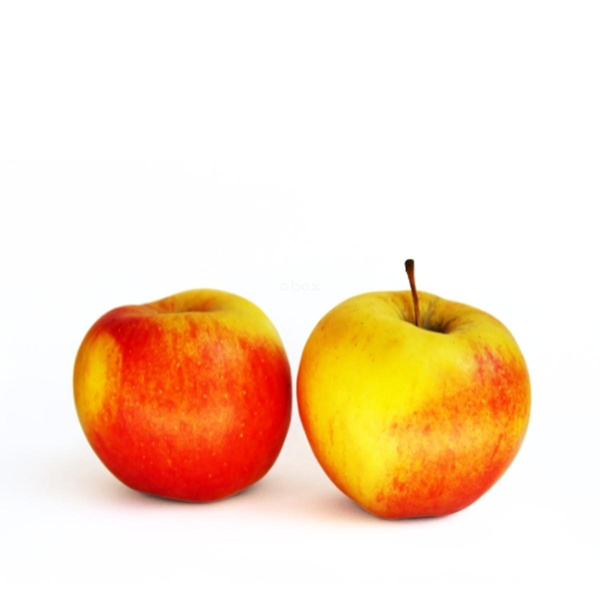 Produktfoto zu Apfel Elstar