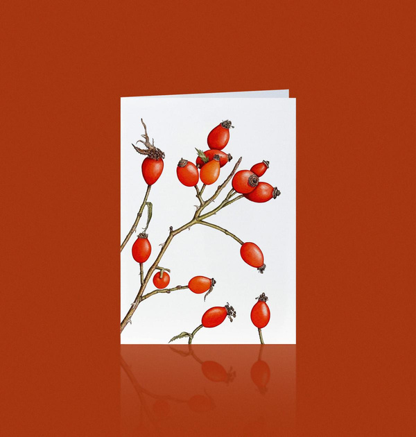 Produktfoto zu Grußkarte Hagebutte
