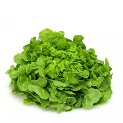 Produktfoto zu Eichblattsalat grün