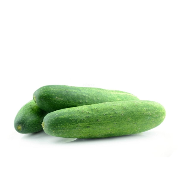 Produktfoto zu Snack-Gurken