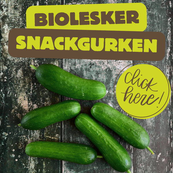 KI generiert: Grüne Snackgurken auf Holzuntergrund. Text: "BIOLESKER SNACKGURKEN" und "click here!"