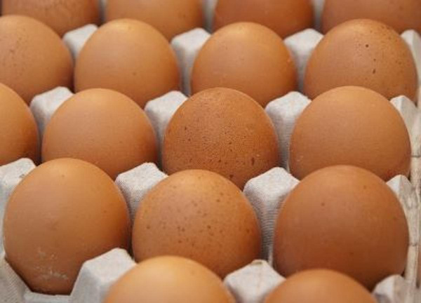 Produktfoto zu bioLesker WeideEier Lage 30 Stück