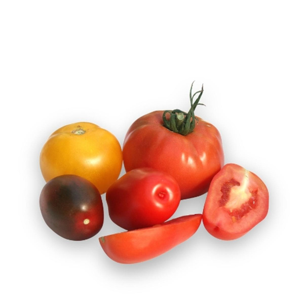 Produktfoto zu Tomaten lose, können verschiedene Sorten sein