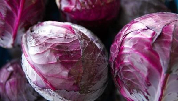 Produktfoto zu Rotkohl 800-1800g