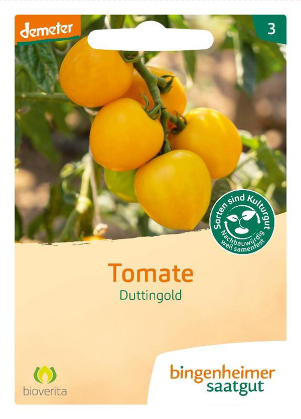 Produktfoto zu Saatgut Tomate "Duttingold"