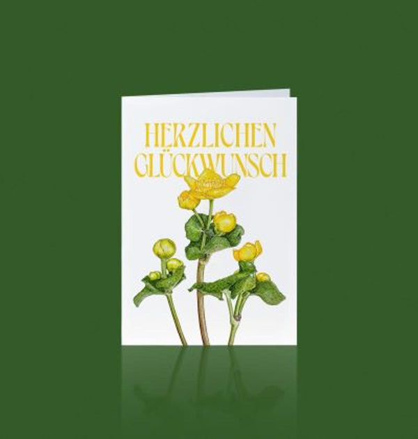 Produktfoto zu Grußkarte Sumpfdotterblume