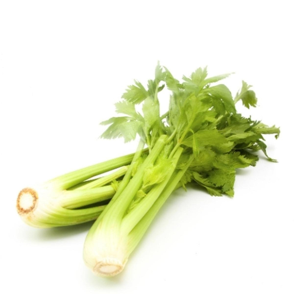 Produktfoto zu Staudensellerie